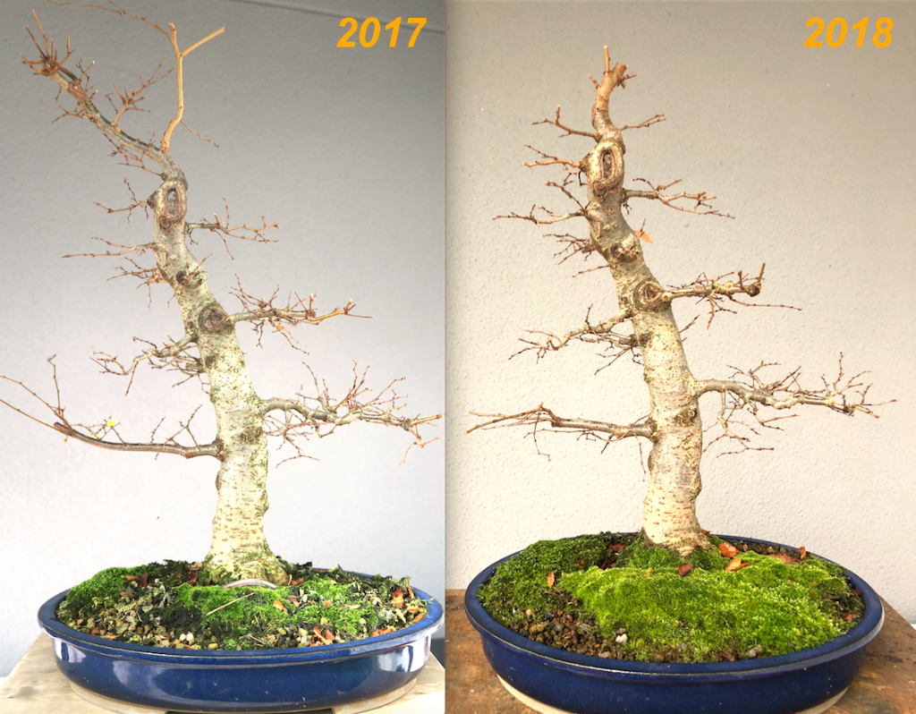Vergleich 2017 - 2018