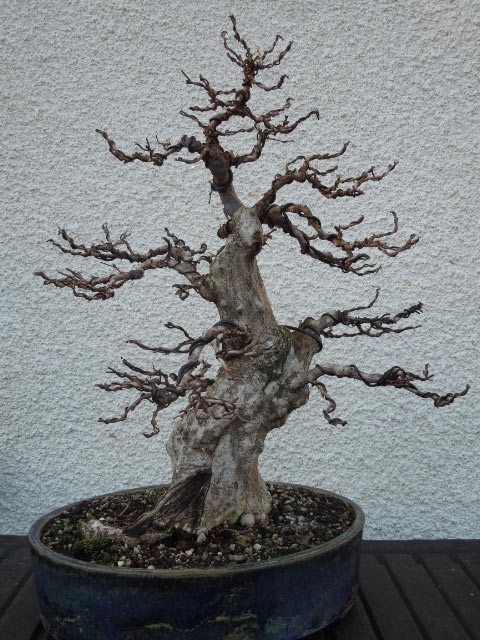 DSCN0999.jpg