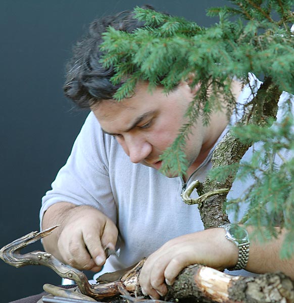 David werkelt fleissig am Holz herum