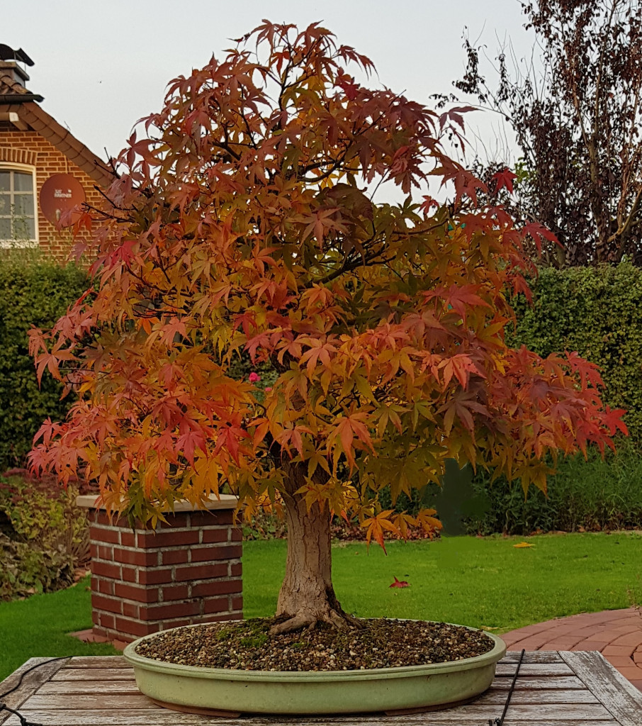 20181105_163902.jpg