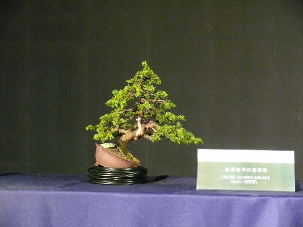 Chinawacholder von Gabriel