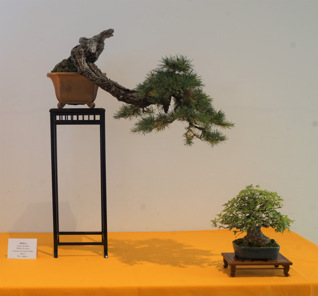 Noch ein Baum, der ursprünglich von Naka gestaltet wurde. Hier würden mich Bilder des ursprünglichen Zustands interessieren.