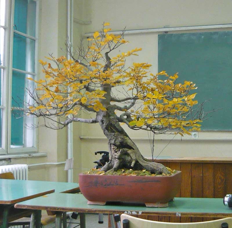 2011-11-P1050383.jpg