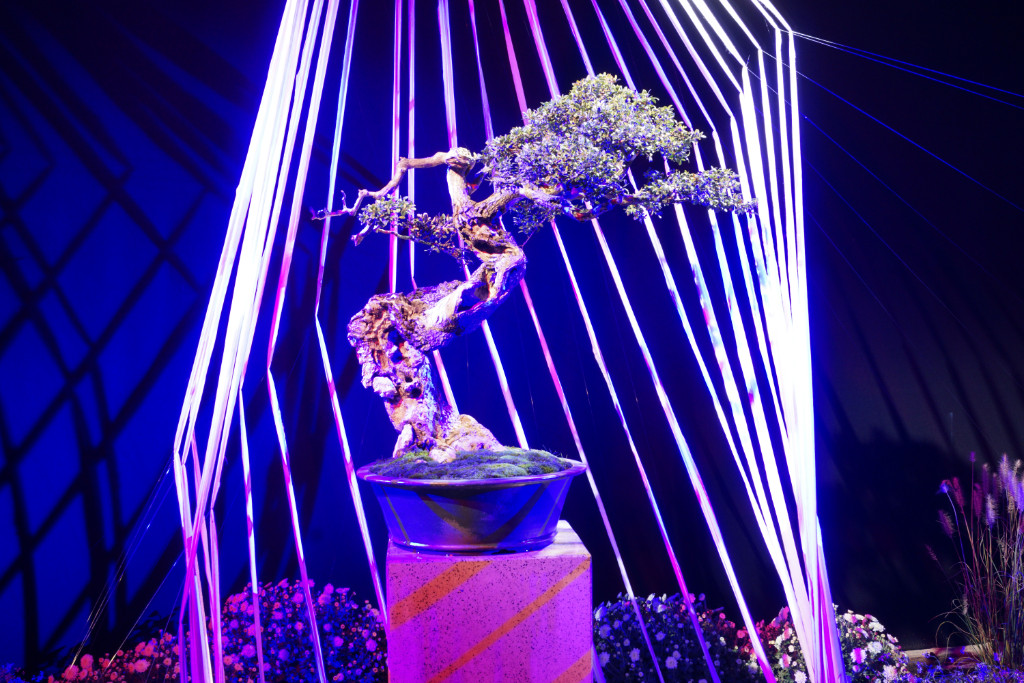 So ein schöner Baum, man möchte ihn nehmen, aus der Halle raustragen und ohne Gedöns, Mumpitz, Disco &amp; Lightshow anschauen ...