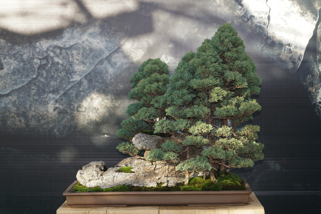 Geht ganz deutlich in die Richtung Shumu-Penjing. Überzeugende Arbeit. Hätte ich gerne in meinem Garten.