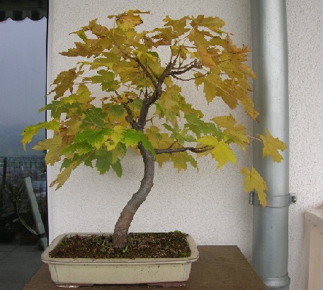 herbst 2005