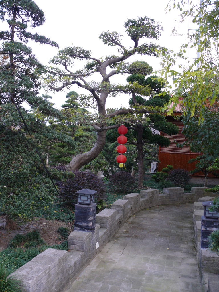 P1240119.JPG