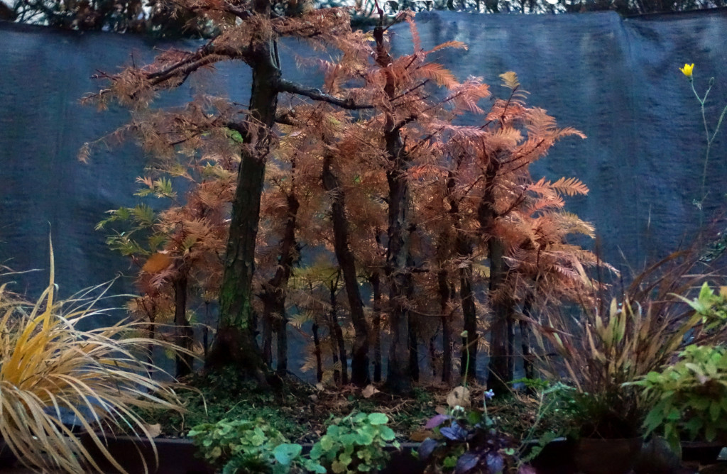 blaue Stunde in Kupfer-Wald