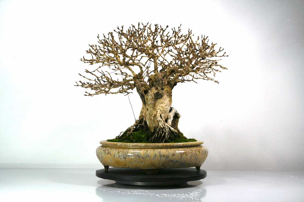 Rundumblick