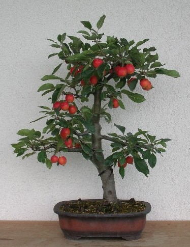 herbst06.JPG