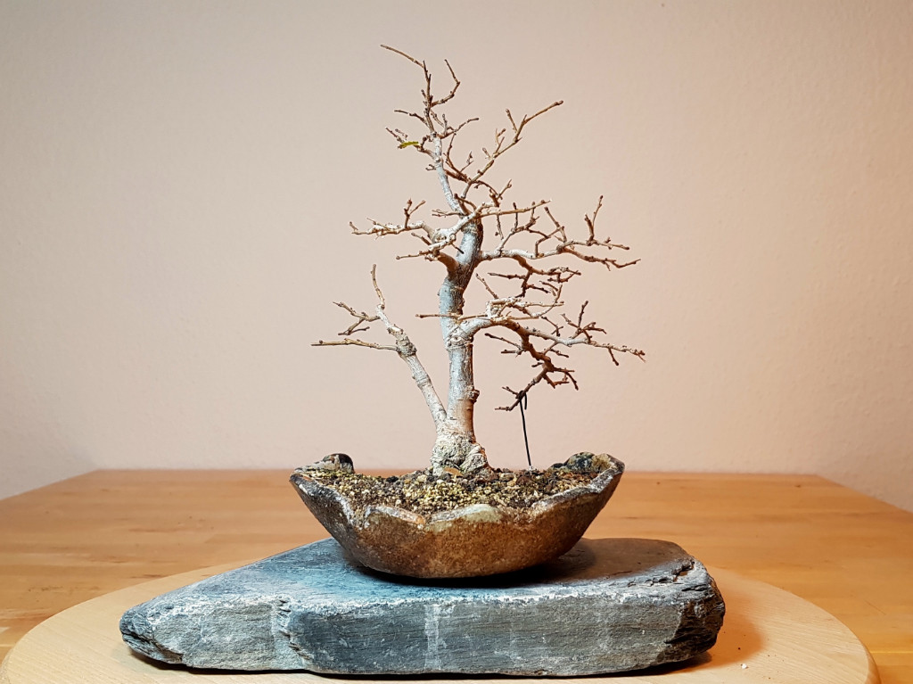 20181119_153426.jpg