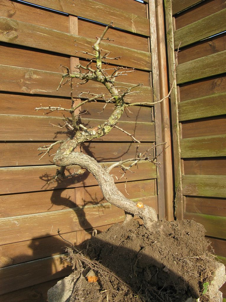 Frühjahr 2011