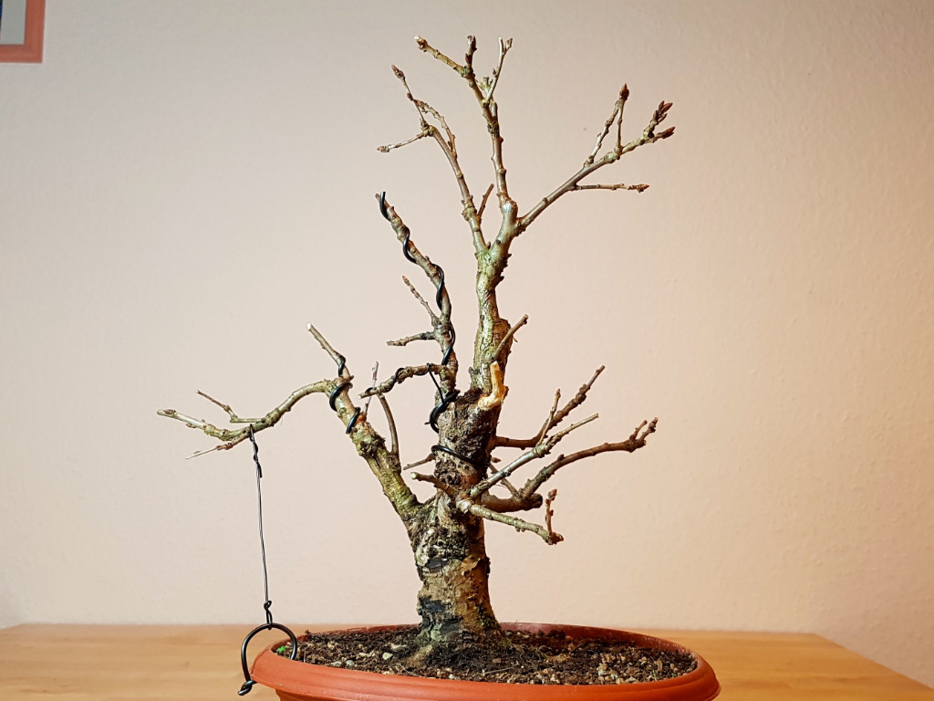 20181121_210844.jpg