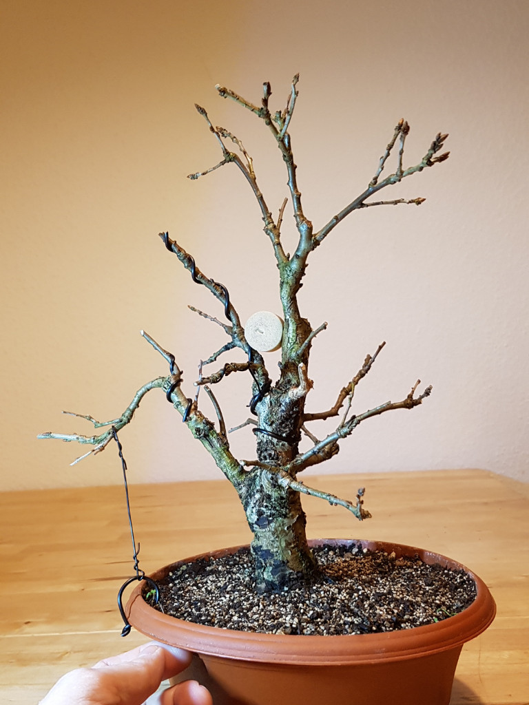 20181123_233258.jpg