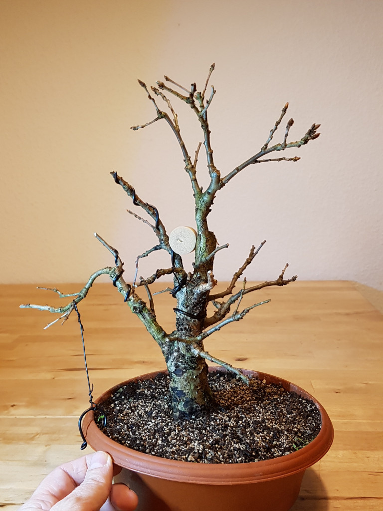 20181123_233328.jpg