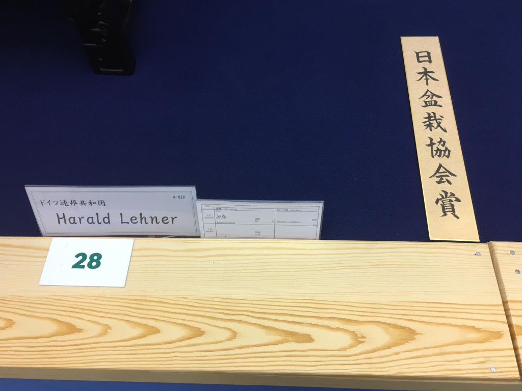 45ab9f28-2c81-43ee-b34b-2a78c9abe478.jpg
