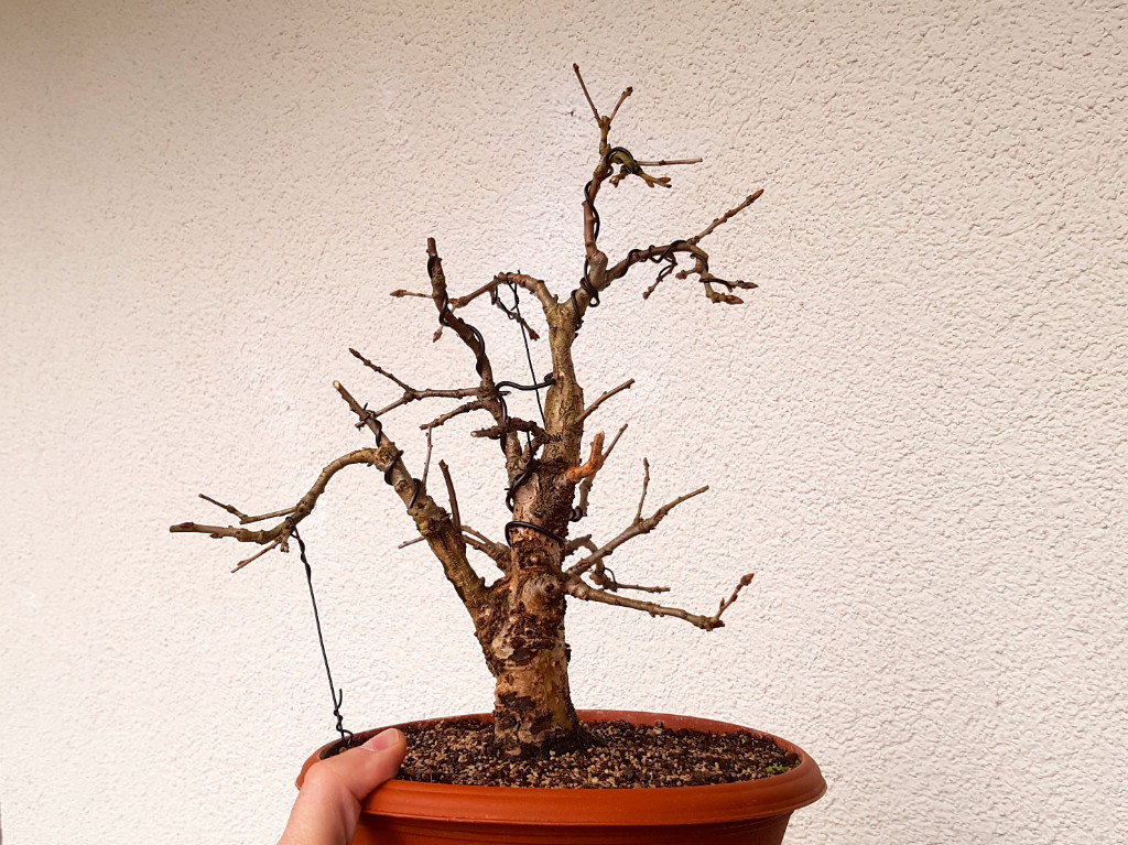20181124_134321.jpg