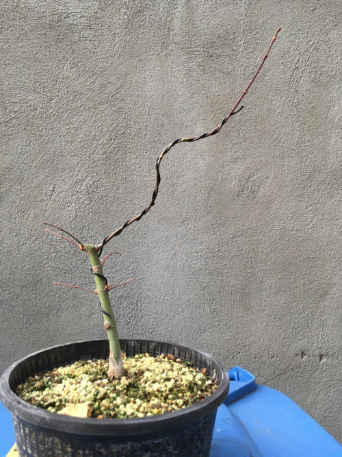 November 2018