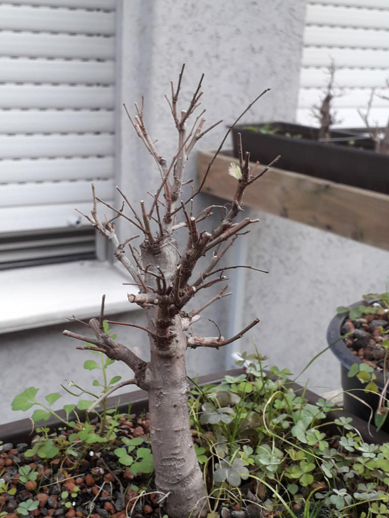 20181201_122346.jpg