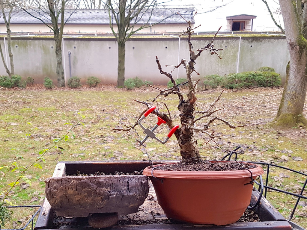 20181208_125513.jpg