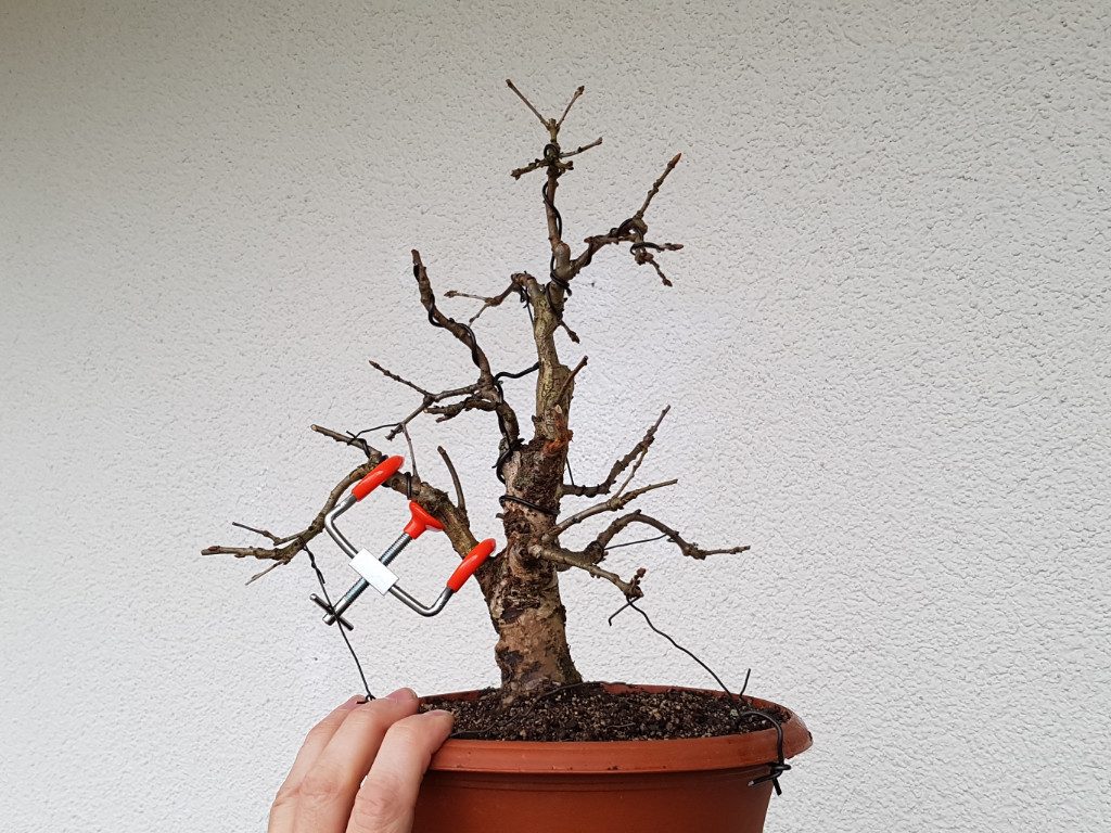 20181208_125633.jpg