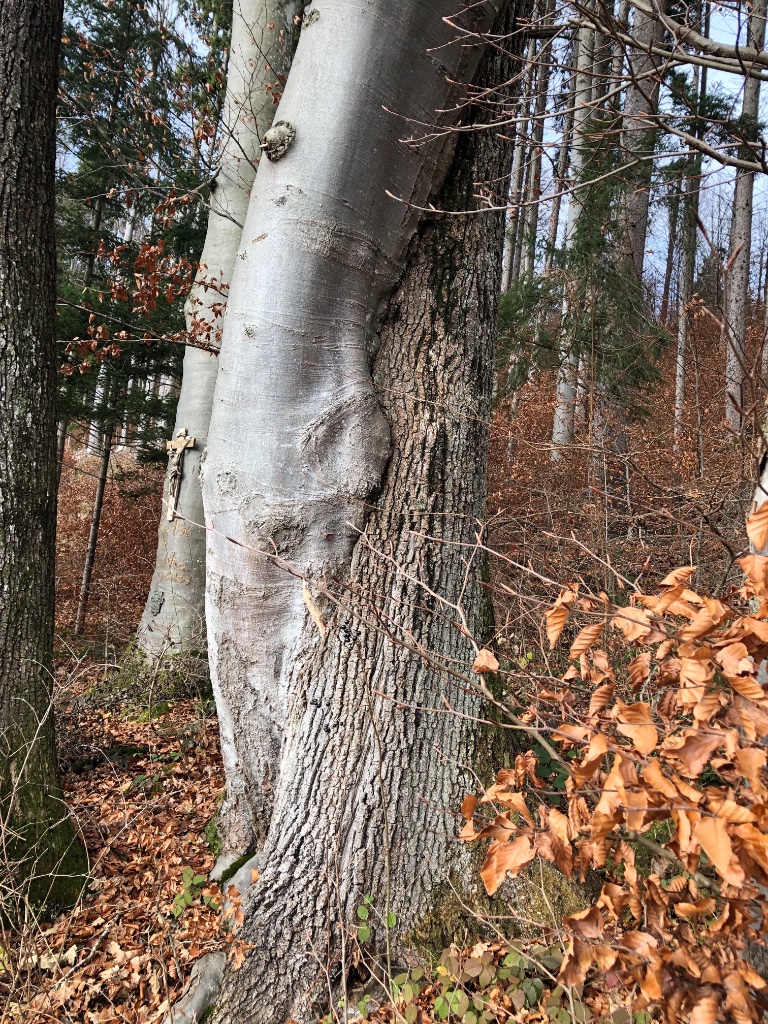 2018-12-08 11.58.35.jpg