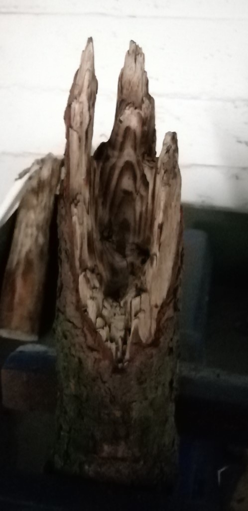 Ergebnis 1
