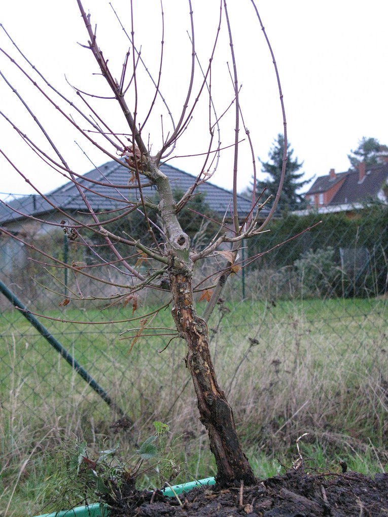 Frühjahr 2013