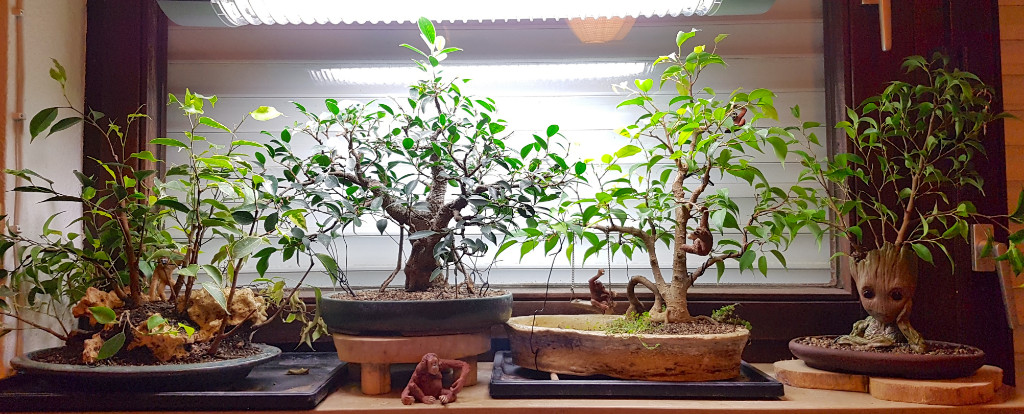 20181217_170125.jpg