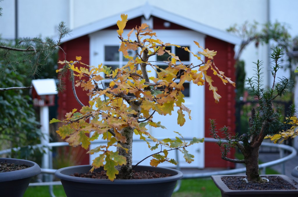 Herbst 2018