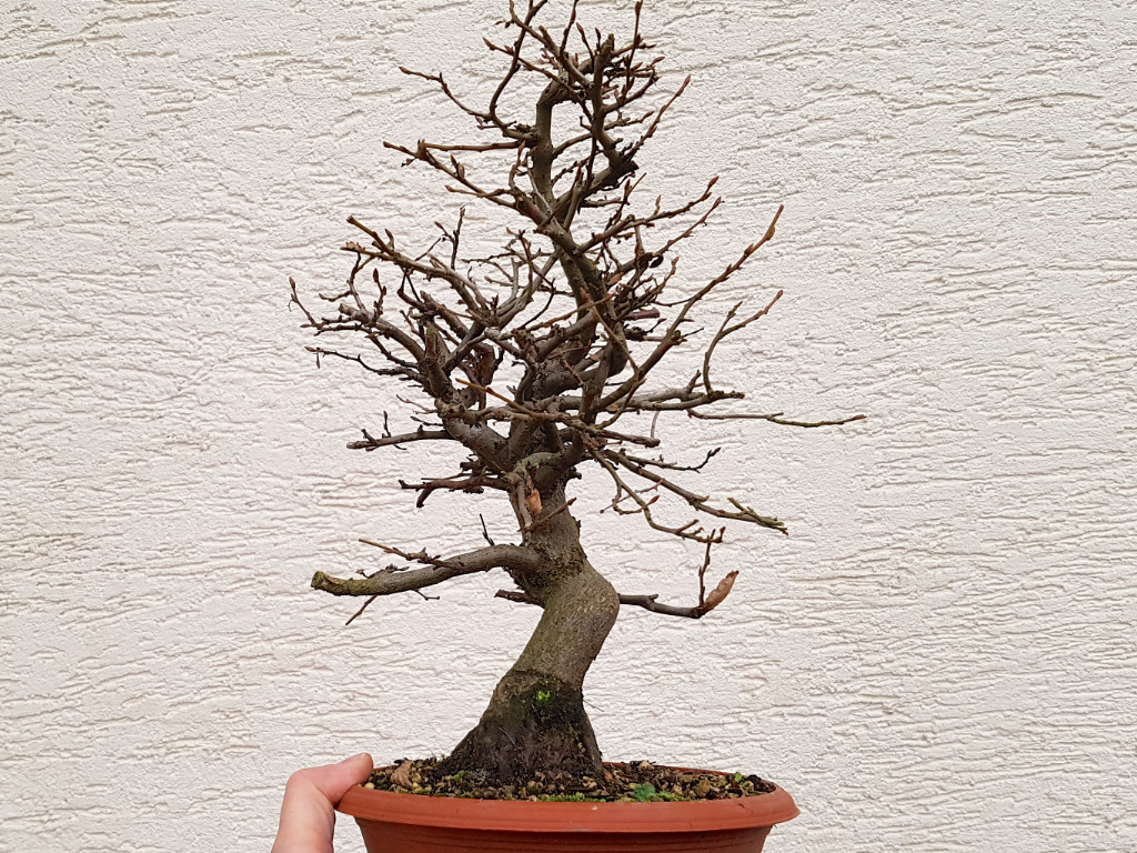 20181222_134707.jpg