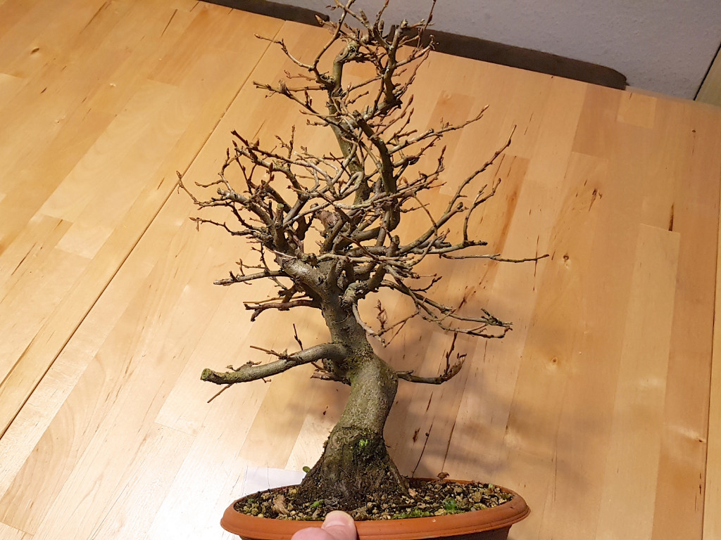 20181222_135119.jpg