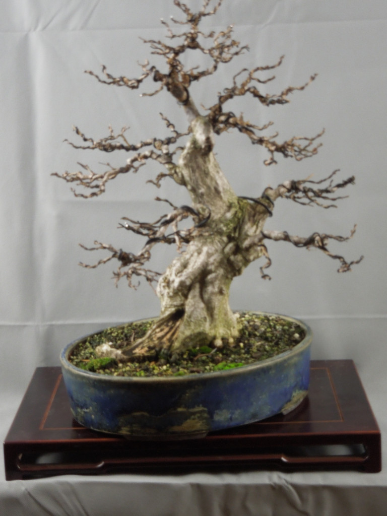 DSCN1033.JPG