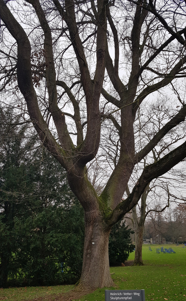 20181229_112301.jpg