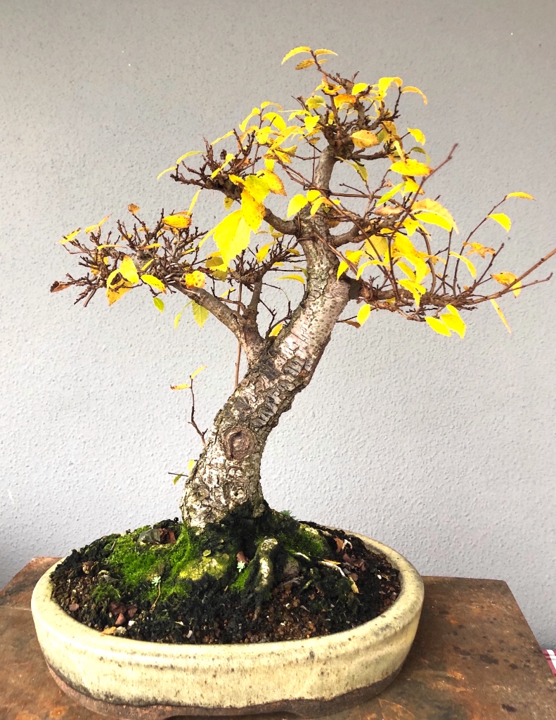 02. Nov 2018