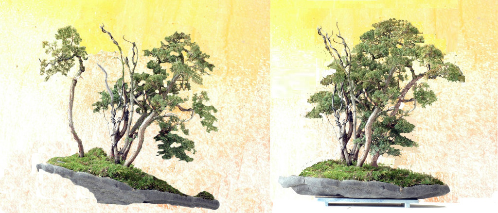 Junipslab0119Bbff Kopie.jpg