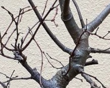 C14408AB-A7A7-444A-A0EB-84786123F243.jpeg