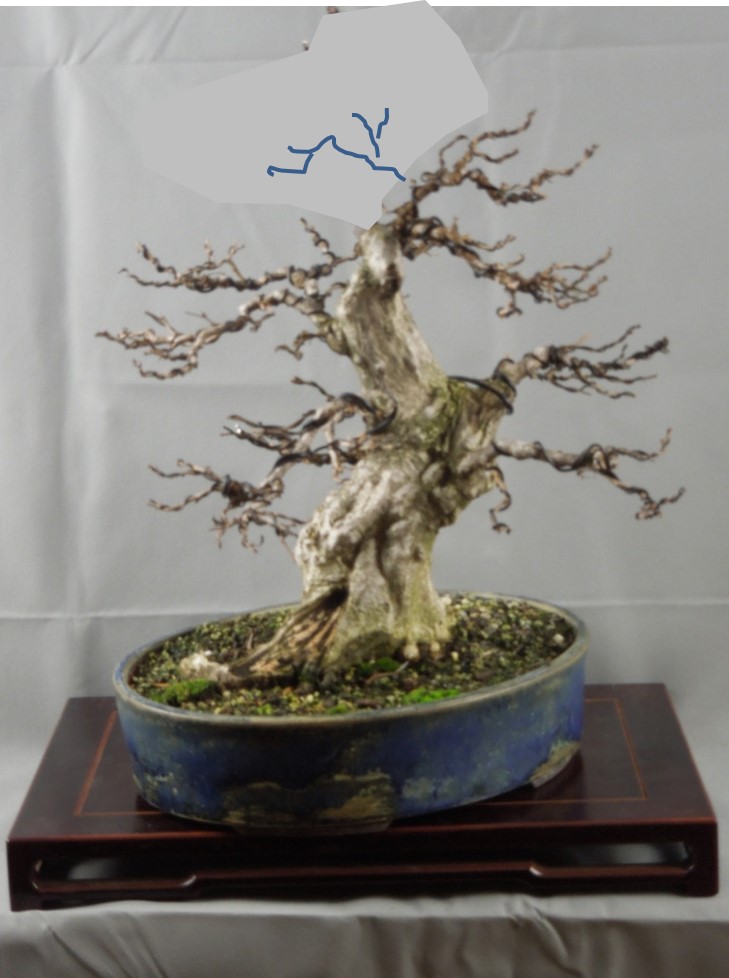 Baum.jpg