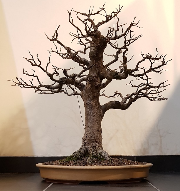 20190115_172525.jpg