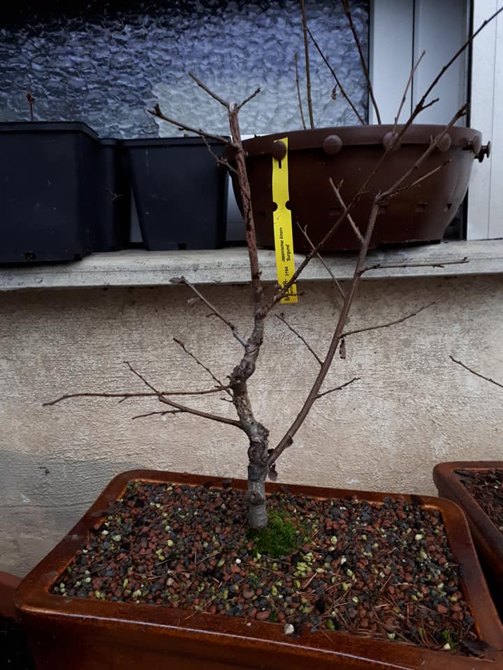 Winter 2018/19 Nr.39