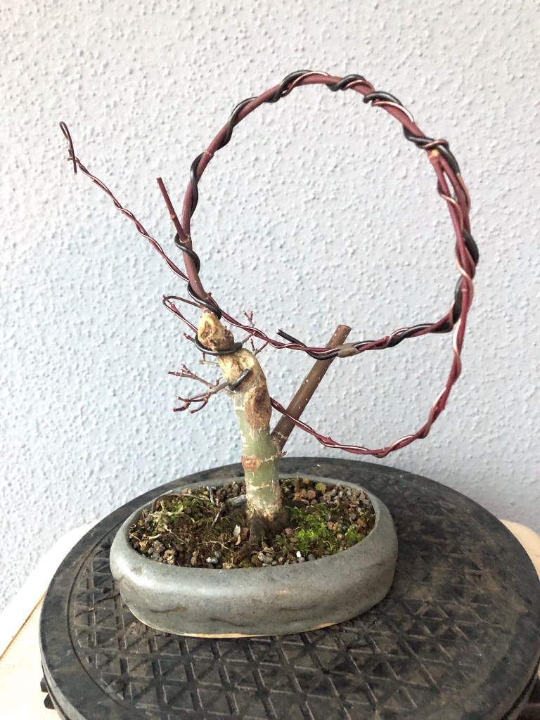 Januar 2019