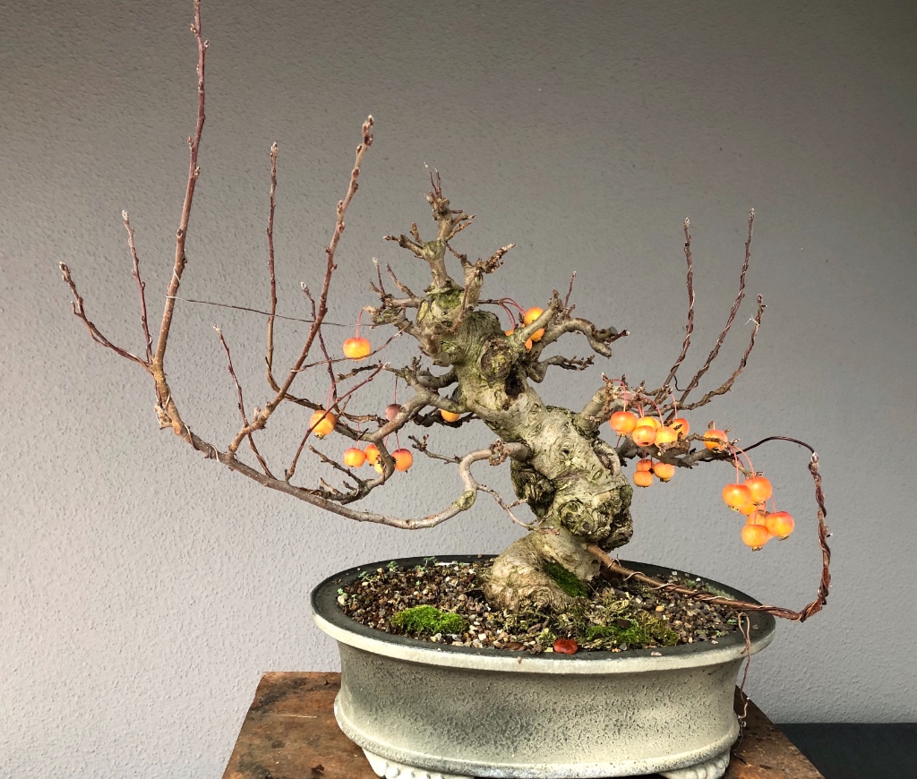 Nov 2018