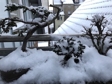 IMG_0195.jpg