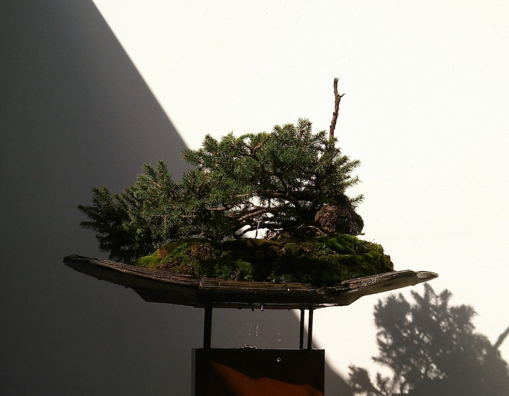 Detail