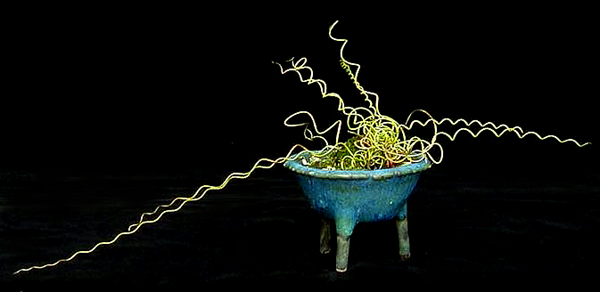 Schale-mit-Füßen-u.-Spiralg.jpg