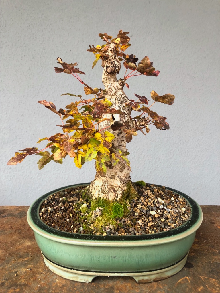 02. Nov 2018