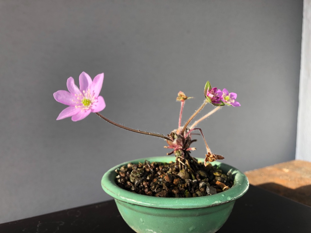 E641DAFA-05D2-444E-9C76-9778A6979E99.jpeg