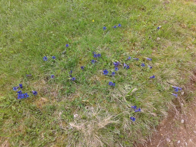 20150524_104315.jpg