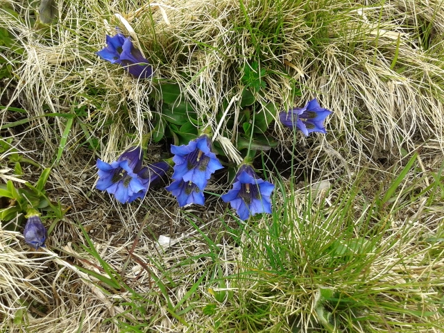 20140530_113113.jpg