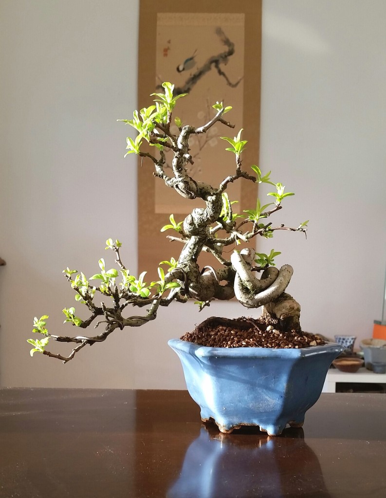 2019-03-03 08.21.47.jpg